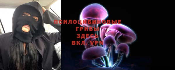 PSILOCYBIN Абаза