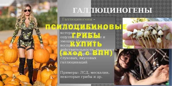 гашик Абинск