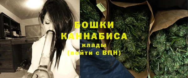 PSILOCYBIN Абаза