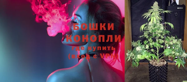 PSILOCYBIN Абаза