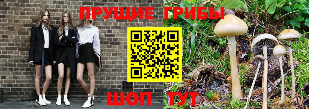 Псилоцибиновые грибы Cubensis  Вход с VPN  Дальнереченск  Галлюциногенные грибы Psilocybine cubensis 