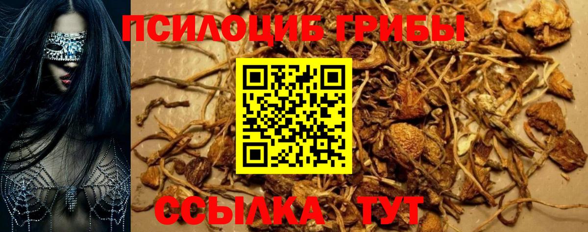 Галлюциногенные грибы ЛСД Дальнереченск